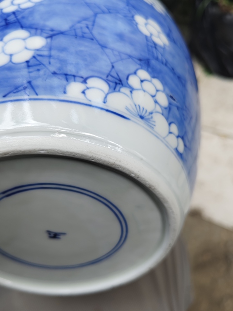 古玩陶瓷青花留白冰梅紋罐真品鑒賞圖