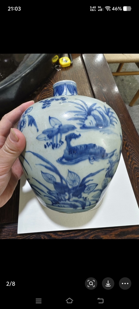 古玩陶瓷青花飛鳴食宿圖嘟嚕瓶真品鑒賞圖