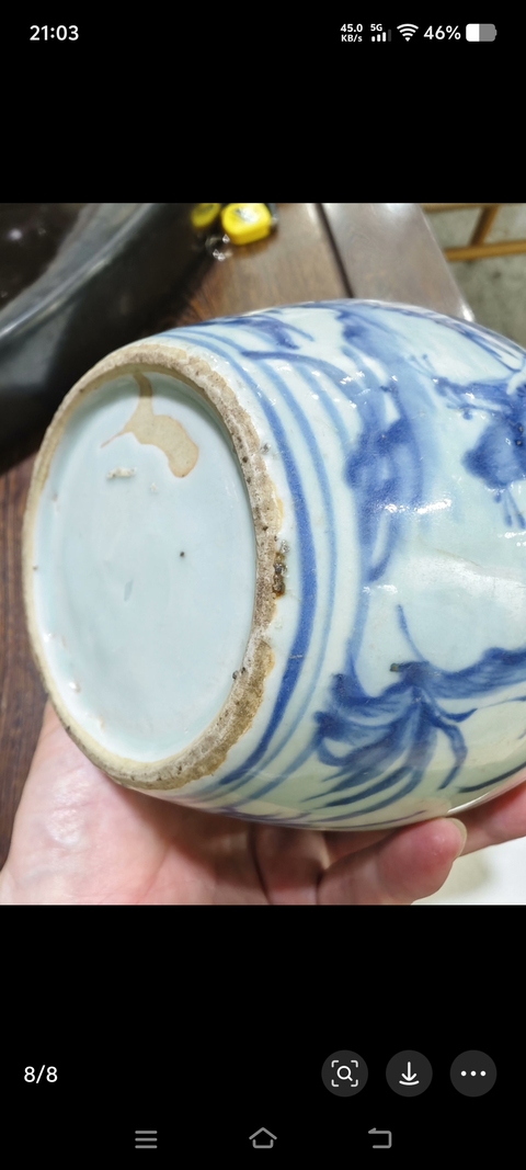 古玩陶瓷青花飛鳴食宿圖嘟嚕瓶真品鑒賞圖