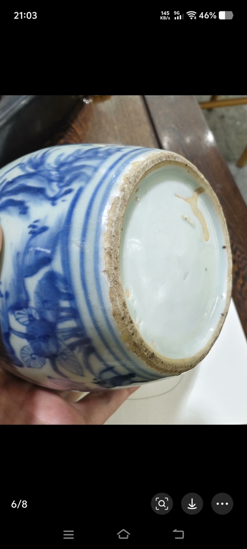 古玩陶瓷青花飛鳴食宿圖嘟嚕瓶真品鑒賞圖
