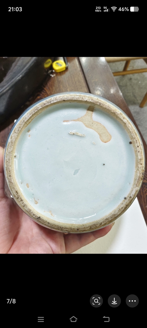 古玩陶瓷青花飛鳴食宿圖嘟嚕瓶真品鑒賞圖