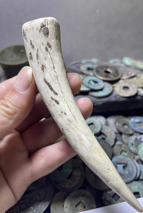 古玩雜項商周·鹿角觿拍賣，當前價格198元