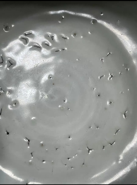 古玩陶瓷晚明青花線描三足洗式香爐真品鑒賞圖