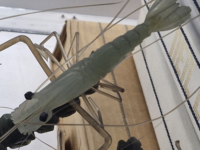 古玩玉器玉石蝦盆景真品鑒賞圖