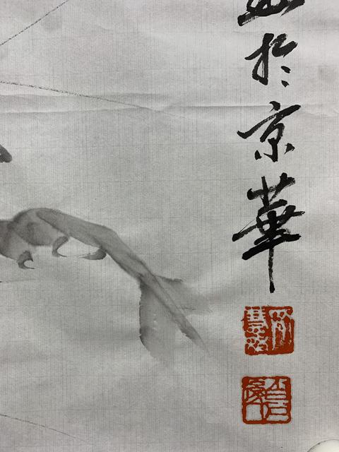 古玩字畫白石孫女齊慧娟 墨蝦圖拍賣，當前價格0元
