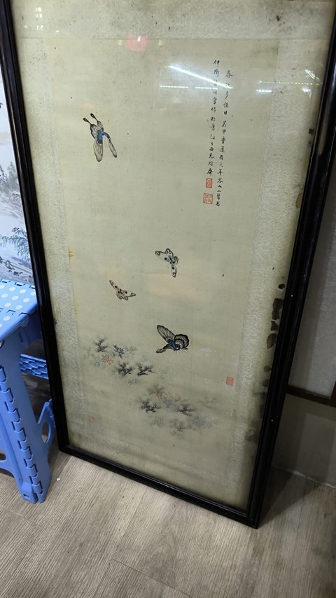 古玩字畫庸初《蝴蝶》真品鑒賞圖