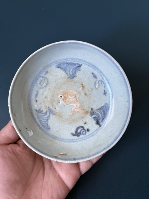 古玩陶瓷明正德青花露胎魚藻紋臥足盤真品鑒賞圖