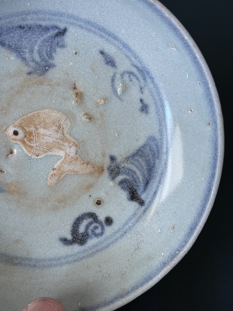 古玩陶瓷明正德青花露胎魚藻紋臥足盤真品鑒賞圖