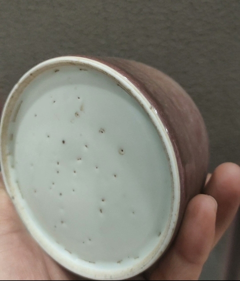 古玩陶瓷豇豆紅水呈真品鑒賞圖