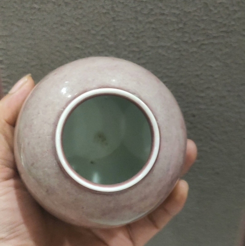 古玩陶瓷豇豆紅水呈真品鑒賞圖