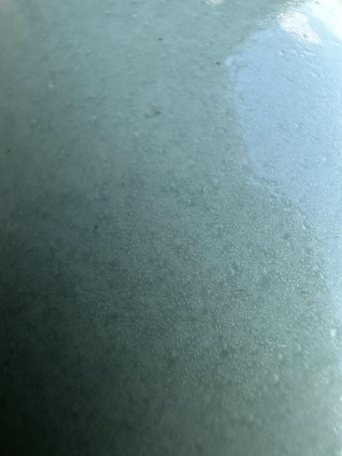 古玩陶瓷豆青釉玉壺春瓶真品鑒賞圖