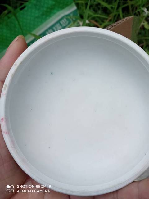 古玩陶瓷花卉紋青花粉盒真品鑒賞圖
