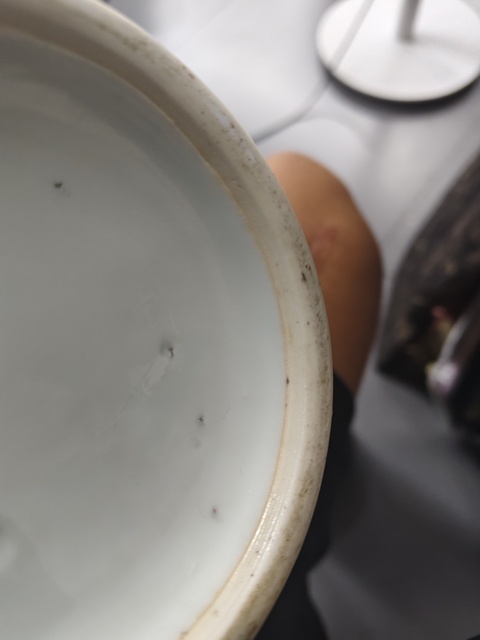 古玩陶瓷明崇禎 青花蒜頭瓶真品鑒賞圖