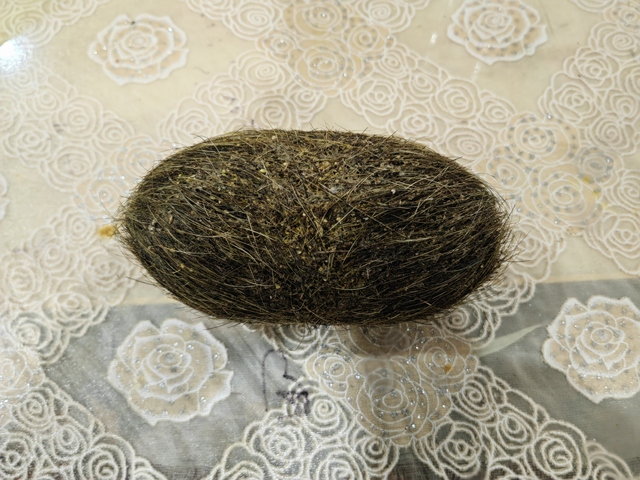 古玩雜項豬寶真品鑒賞圖