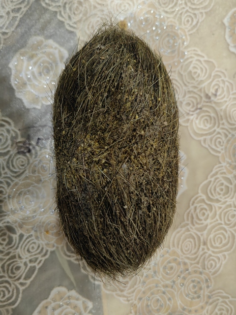 古玩雜項豬寶真品鑒賞圖