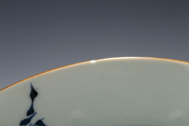 古玩陶瓷清康熙·青花山水花卉紋折沿盤真品鑒賞圖