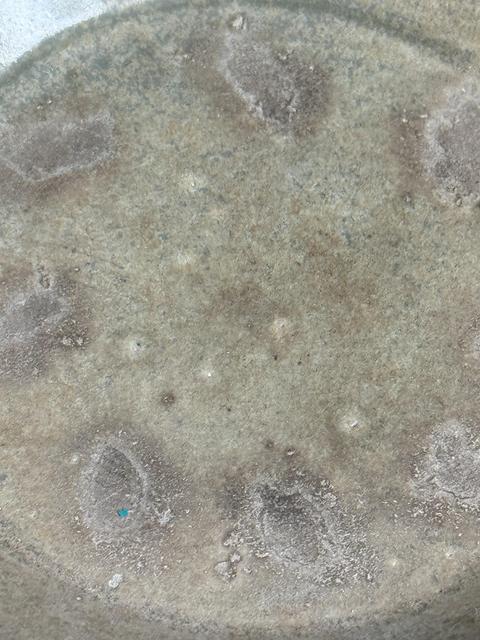 古玩陶瓷越窯海棠碗真品鑒賞圖