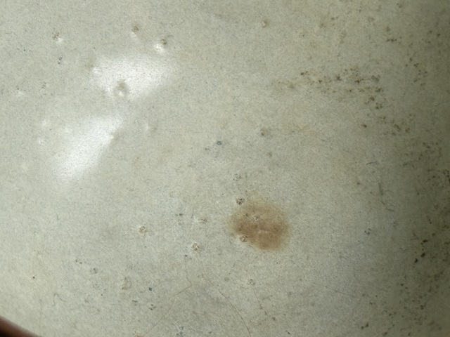 古玩陶瓷龍泉窯茶杯真品鑒賞圖