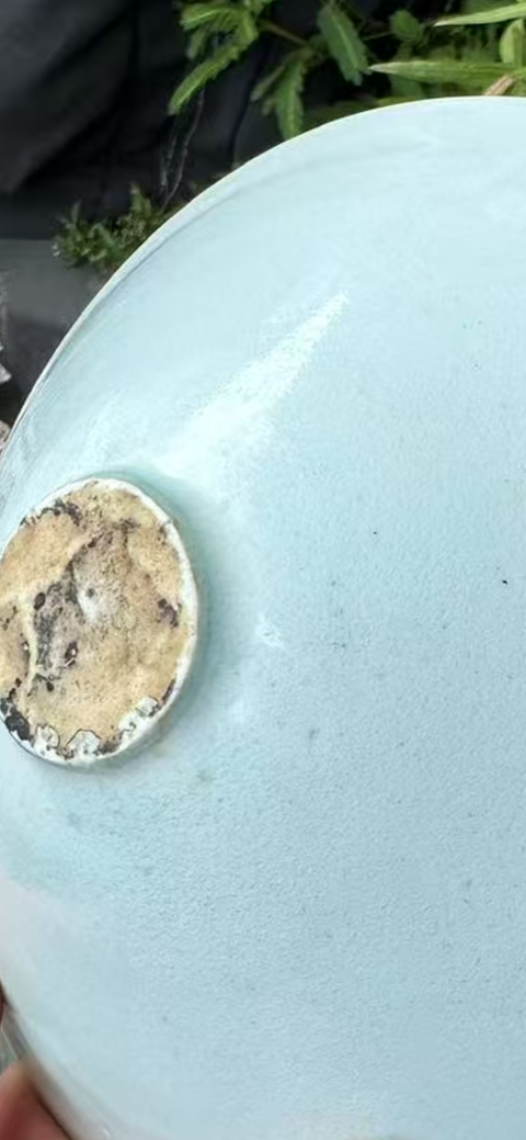 古玩陶瓷湖田窯斗笠盞真品鑒賞圖