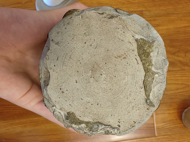 古玩陶瓷唐代壽州窯執壺真品鑒賞圖