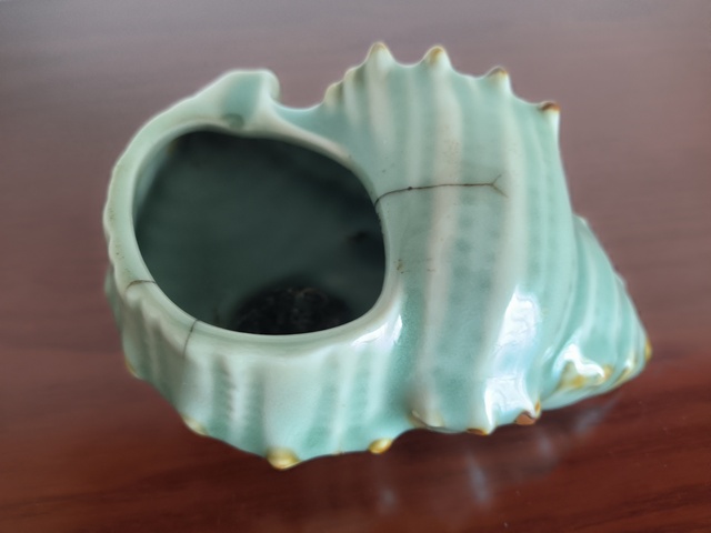 古玩陶瓷青釉褐彩海螺真品鑒賞圖