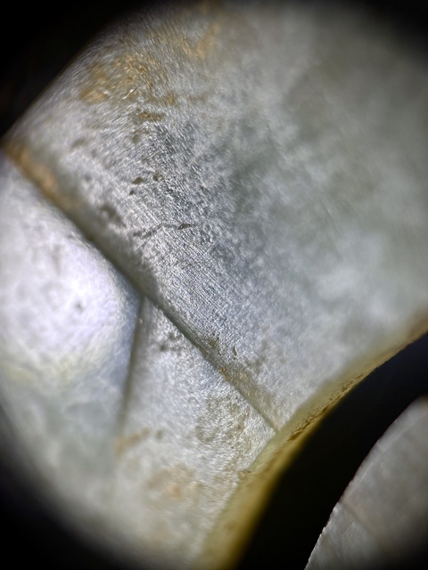古玩玉器仿古玉龍型件真品鑒賞圖