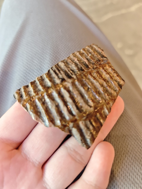 古玩陶瓷褐釉印花標本真品鑒賞圖