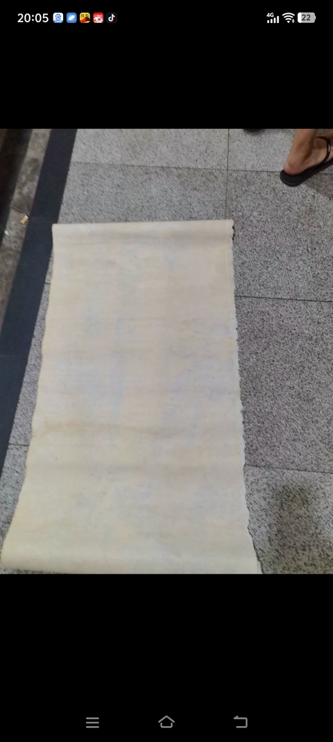 古玩字畫江南春曉真品鑒賞圖