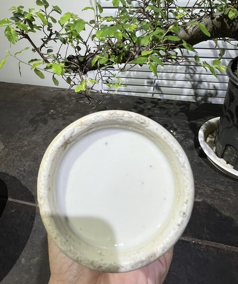 古玩陶瓷松石綠粉彩龍紋花口瓶真品鑒賞圖