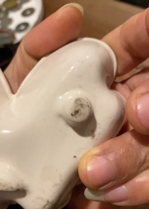 古玩陶瓷白釉蝴蝶式擺件真品鑒賞圖