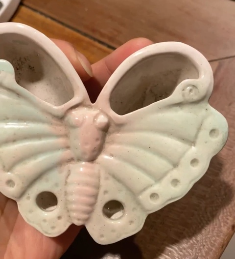 古玩陶瓷白釉蝴蝶式擺件真品鑒賞圖