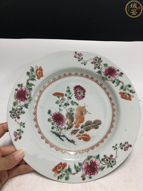 古玩陶瓷雍正·粉彩蟲草花卉紋折沿盤拍賣,當前價格2800元