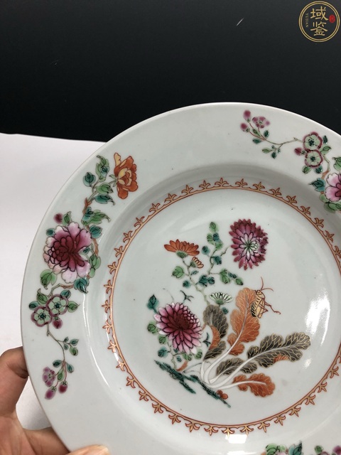 古玩陶瓷雍正·粉彩蟲草花卉紋折沿盤拍賣,當前價格2800元