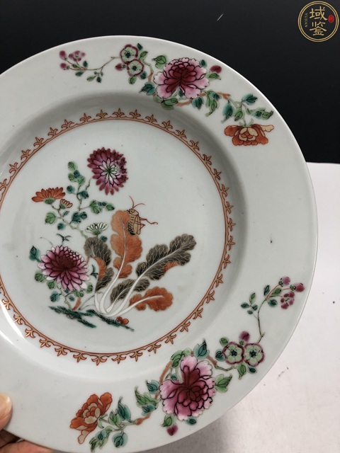 古玩陶瓷雍正·粉彩蟲草花卉紋折沿盤拍賣,當前價格2800元