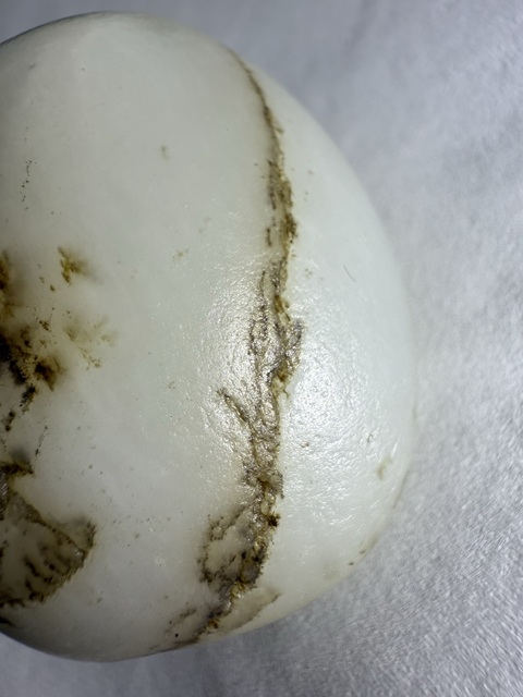 古玩玉器和田玉籽料原石真品鑒賞圖