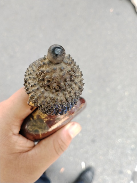 古玩銅器造像真品鑒賞圖