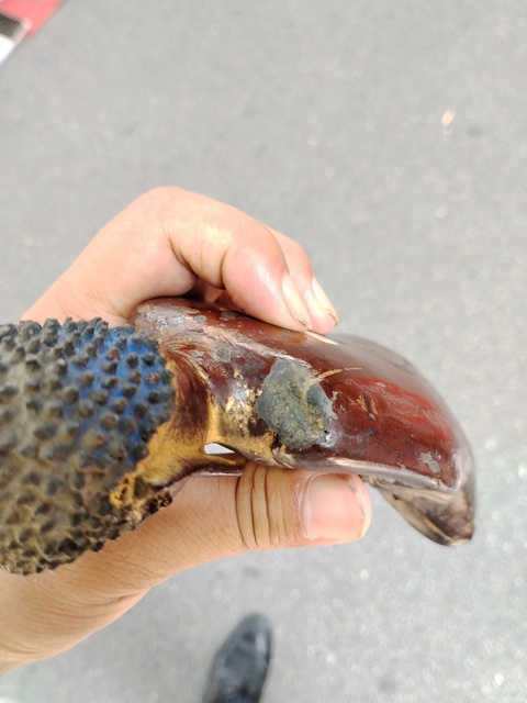 古玩銅器造像真品鑒賞圖