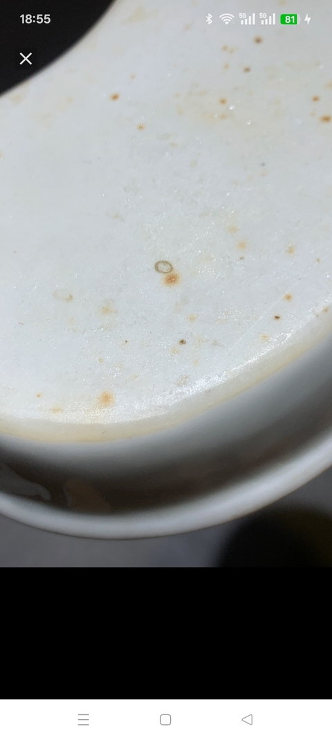 古玩陶瓷白釉水仙盆真品鑒賞圖