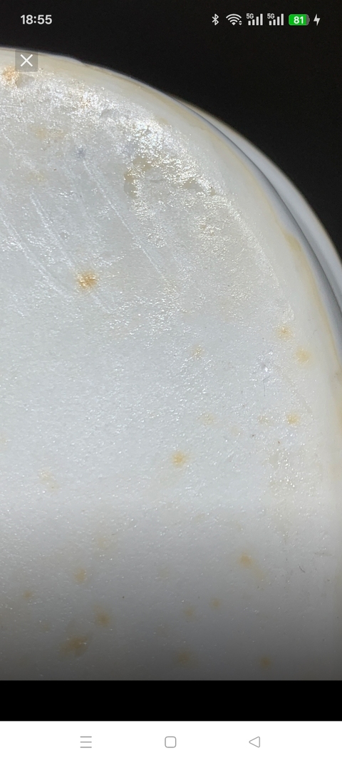 古玩陶瓷白釉水仙盆真品鑒賞圖