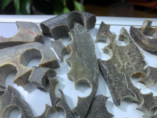 古玩雜項(xiàng)披毛犀角料真品鑒賞圖