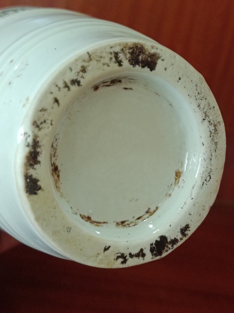 古玩陶瓷青釉雙耳瓶真品鑒賞圖