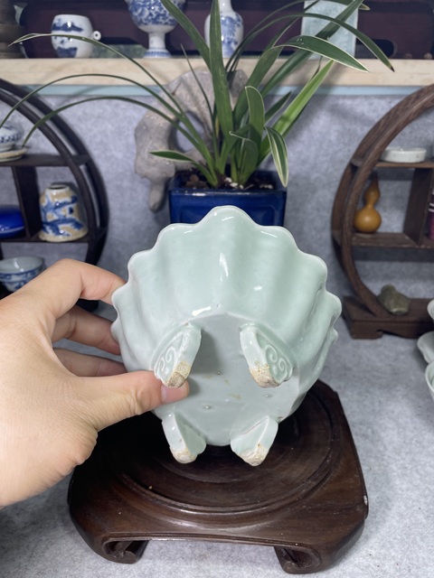 古玩陶瓷冬青釉水仙盆真品鑒賞圖