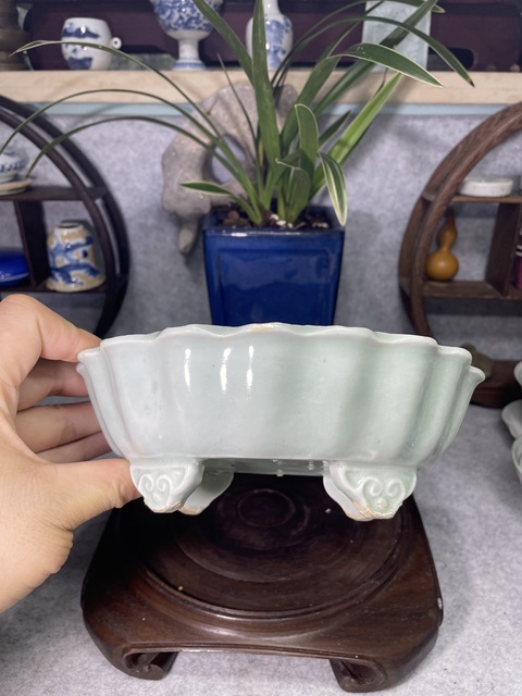 古玩陶瓷冬青釉水仙盆真品鑒賞圖