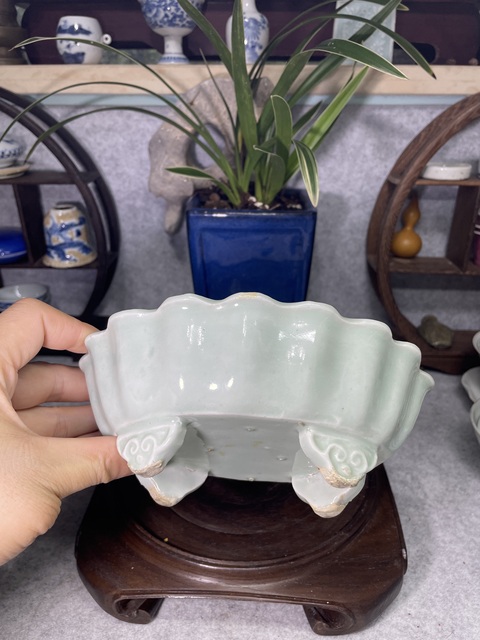 古玩陶瓷冬青釉水仙盆真品鑒賞圖