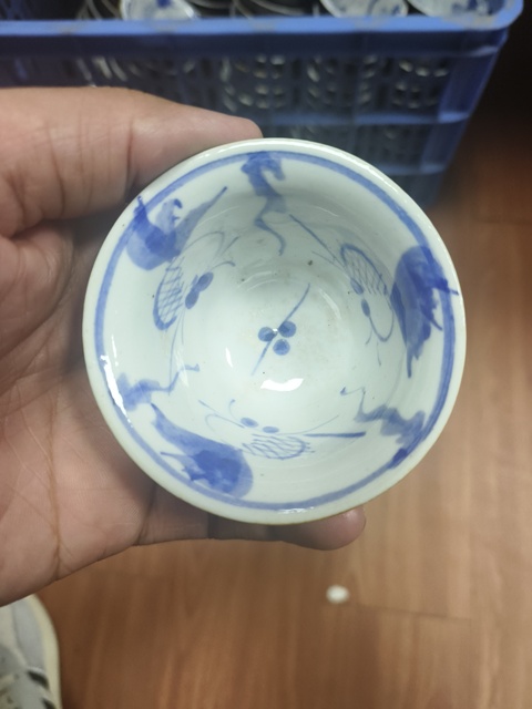 古玩陶瓷魚藻紋杯真品鑒賞圖
