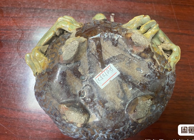 古玩陶瓷民國石灣窯水仙盆真品鑒賞圖