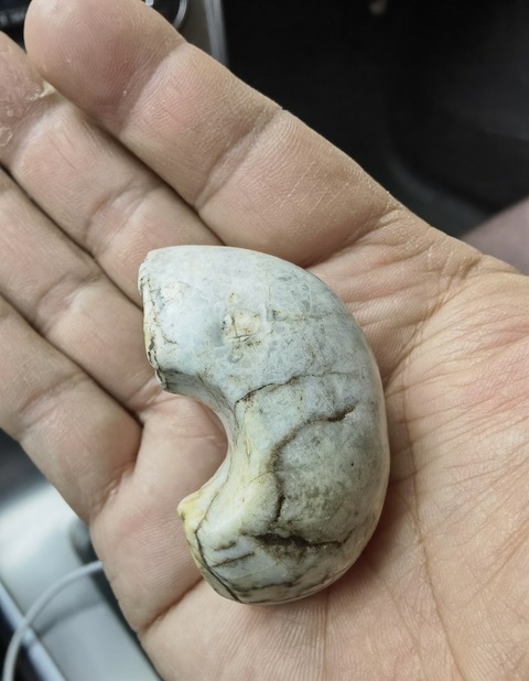 古玩玉器高古玉殘件真品鑒賞圖