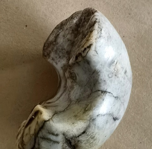 古玩玉器高古玉殘件真品鑒賞圖