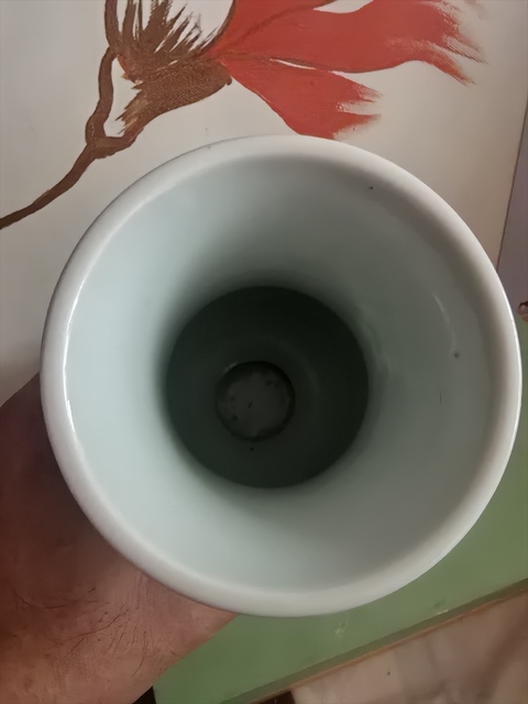 古玩陶瓷斗彩琵琶尊真品鑒賞圖