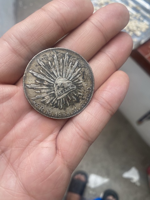 古玩錢幣鷹洋真品鑒賞圖